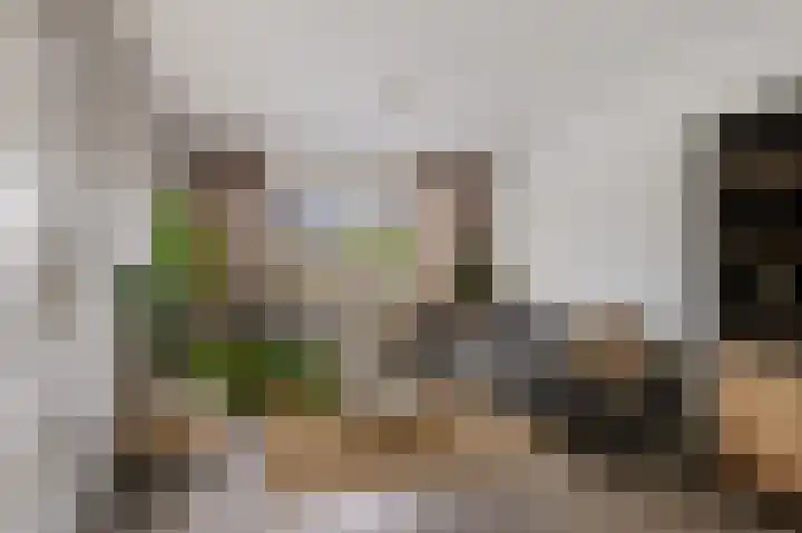 Master Hoeksmawei 26 Drogeham thumbnail 4