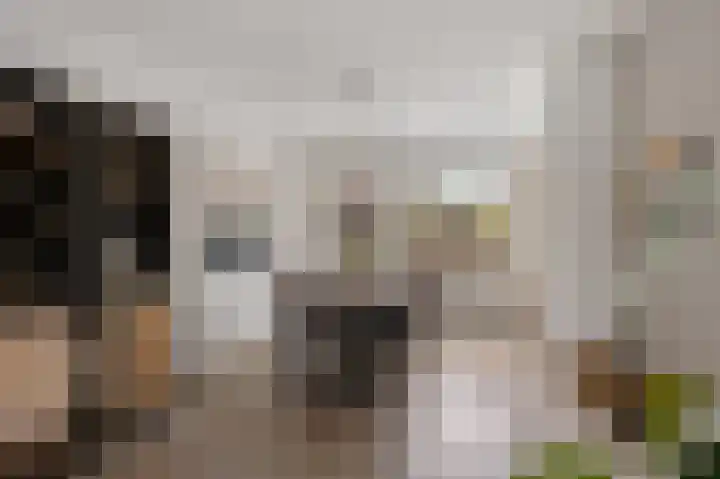Master Hoeksmawei 26 Drogeham thumbnail 6