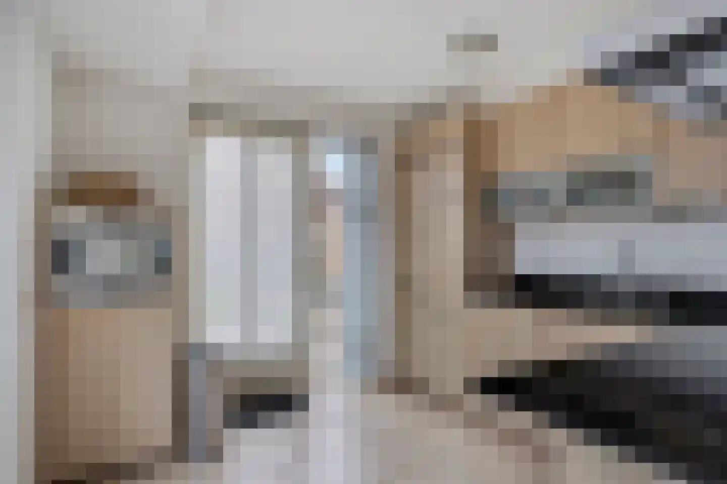 Master Keuningwei 24 Rottevalle thumbnail 12