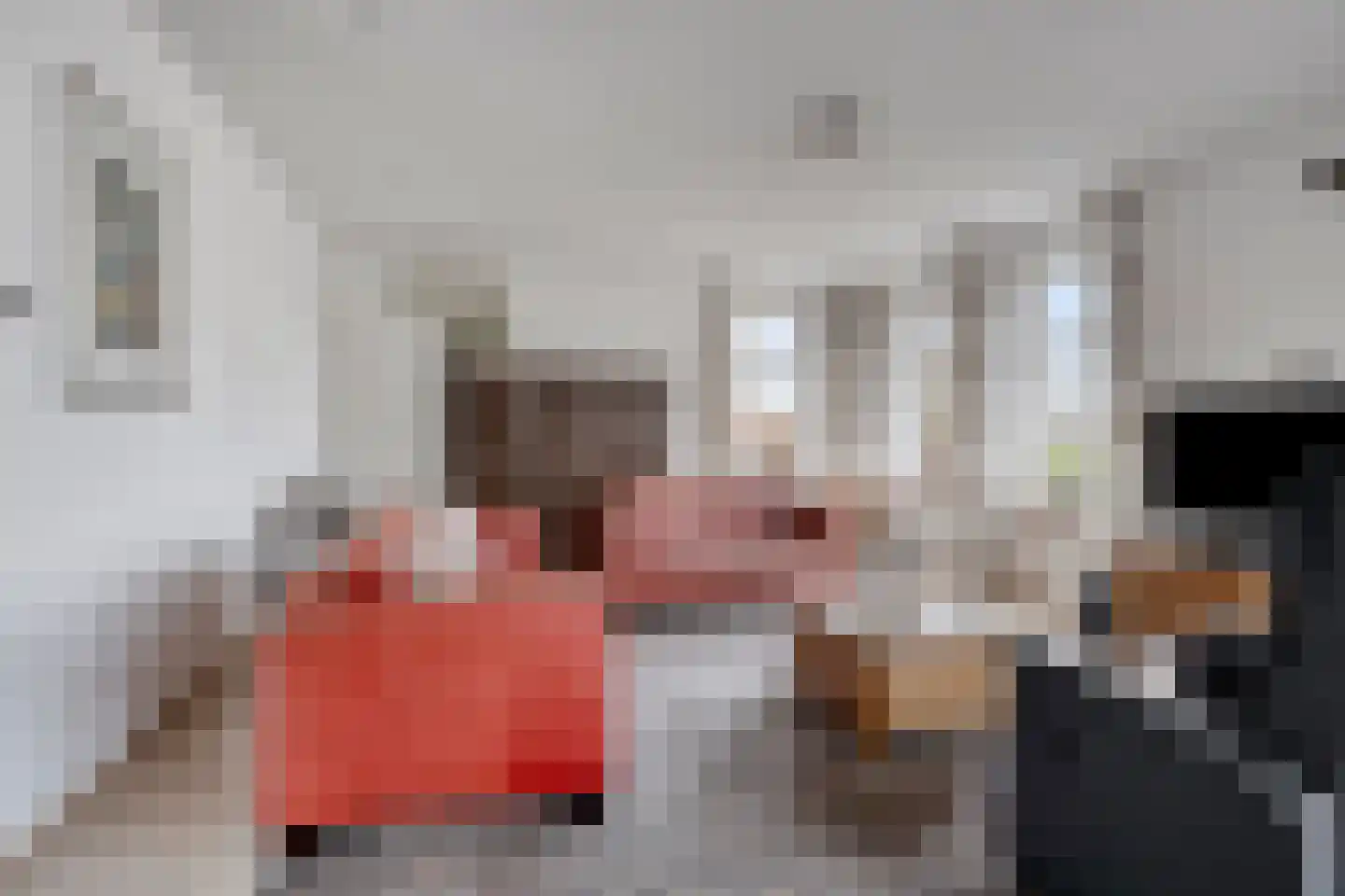 Master Keuningwei 24 Rottevalle thumbnail 8