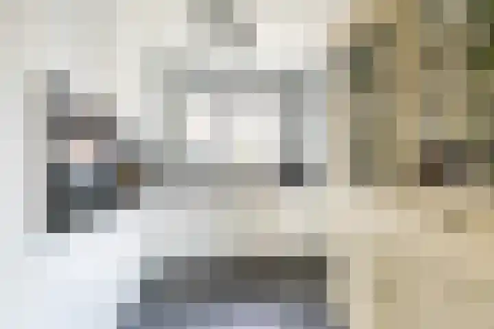 Master Lubwei 13 Garyp thumbnail 16