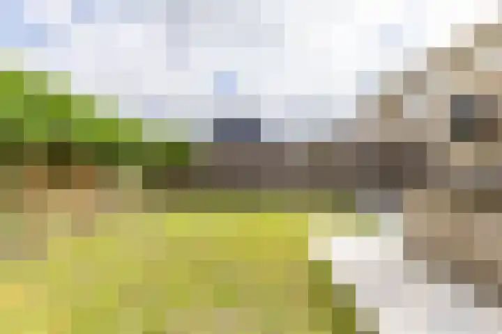 Master Lubwei 13 Garyp thumbnail 22
