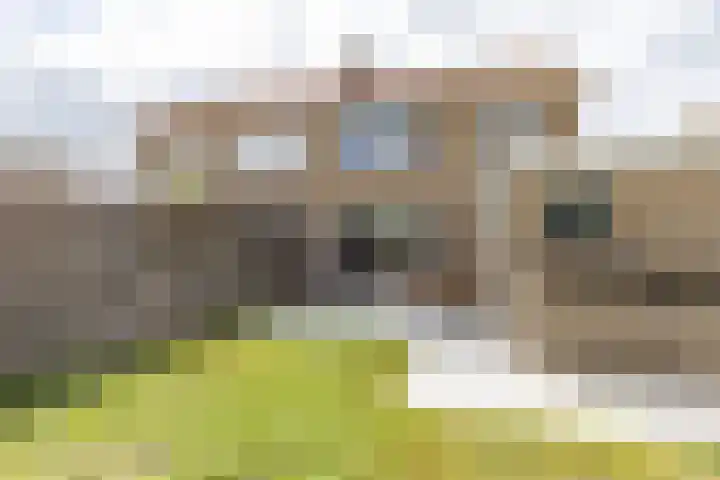 Master Lubwei 13 Garyp thumbnail 23