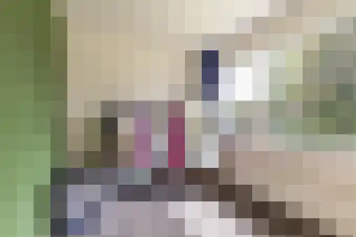 Master Lubwei 13 Garyp thumbnail 31