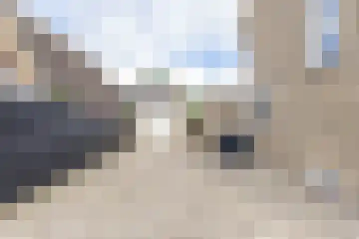 Master Lubwei 13 Garyp thumbnail 5