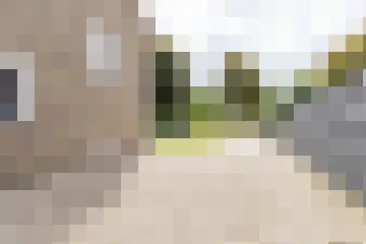 Master Lubwei 13 Garyp thumbnail 7