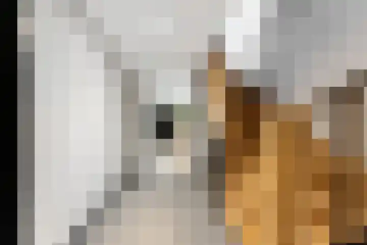 Matena 24 Papendrecht thumbnail 36