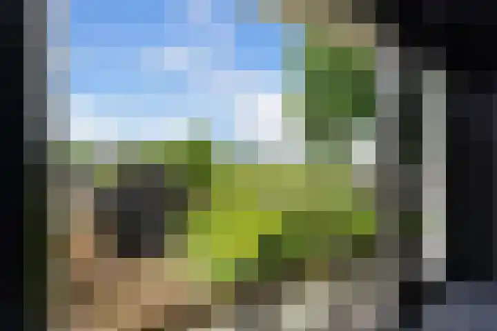 Matena 24 Papendrecht thumbnail 43