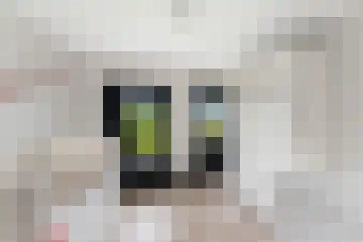 Matena 24 Papendrecht thumbnail 45