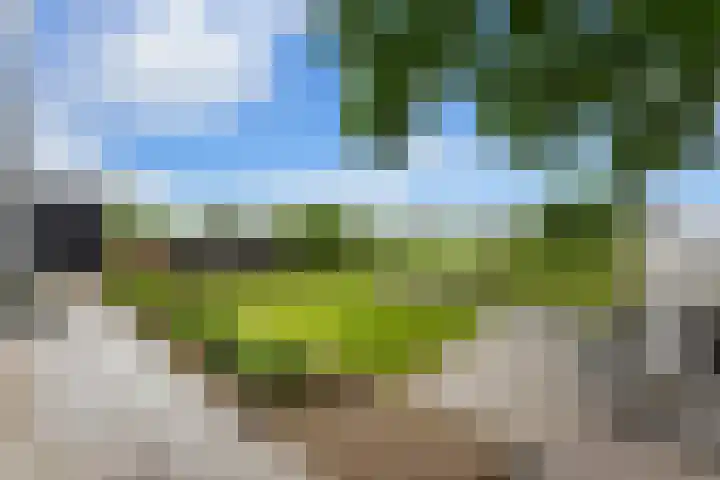 Matena 24 Papendrecht thumbnail 55