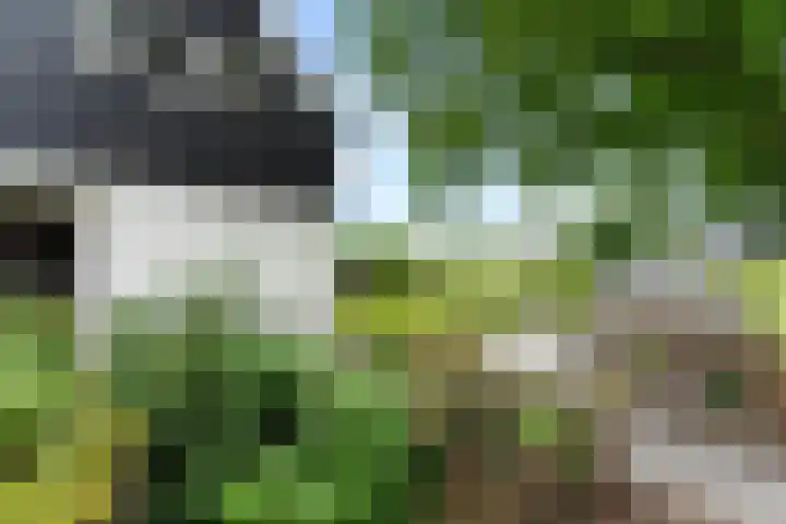 Matena 24 Papendrecht thumbnail 63