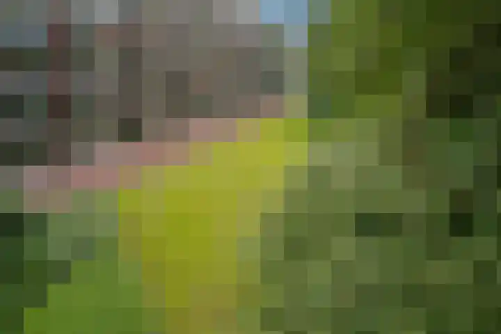 Matenalaan 85 Arnhem thumbnail 35