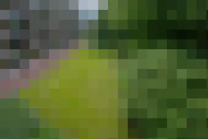 Matenalaan 85 Arnhem thumbnail 38