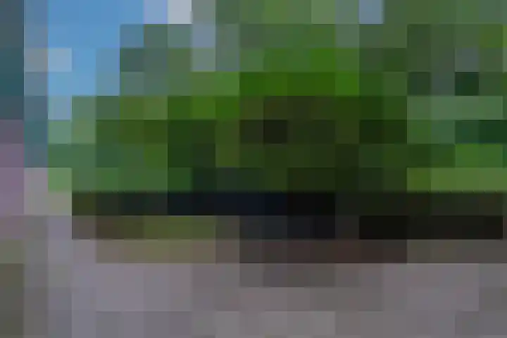 Matenalaan 85 Arnhem thumbnail 39