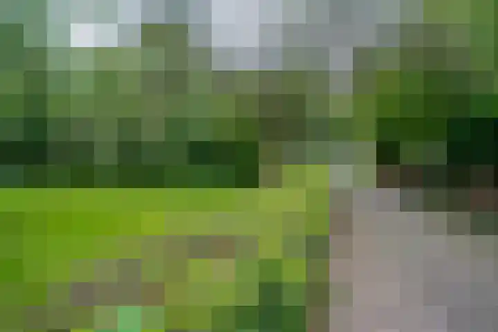 Matenalaan 85 Arnhem thumbnail 40