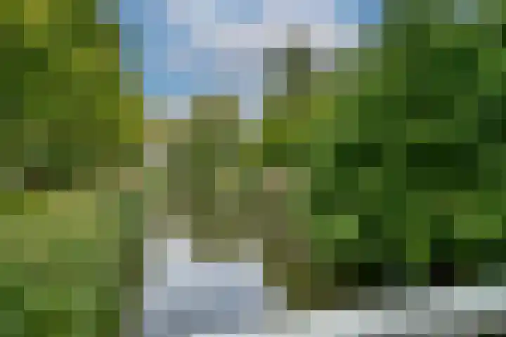 Matenalaan 85 Arnhem thumbnail 41