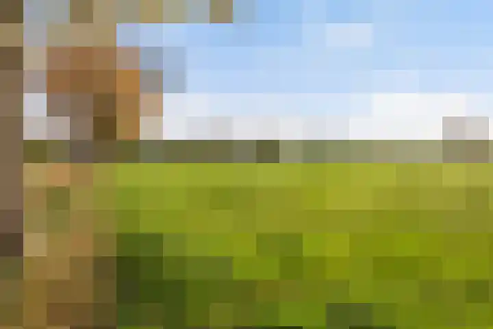 Matenweg 5 Wekerom thumbnail 34