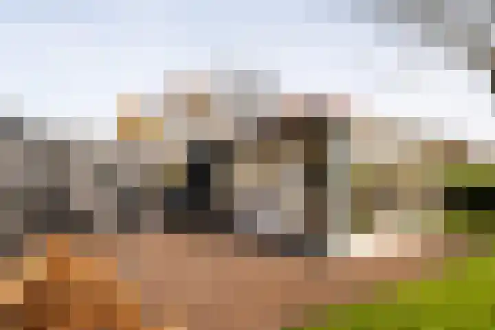 Matenweg 5 Wekerom thumbnail 36