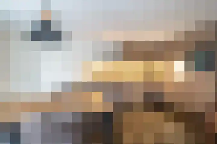 Matenweg 7 Wekerom thumbnail 11