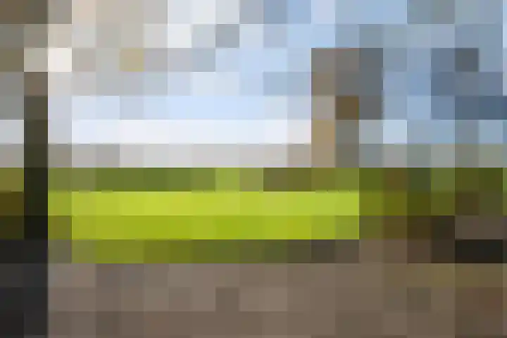 Matenweg 7 Wekerom thumbnail 29
