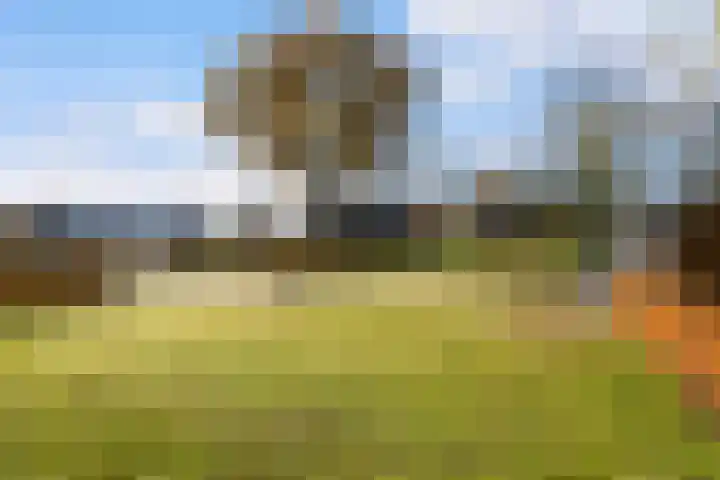 Matenweg 7 Wekerom thumbnail 32