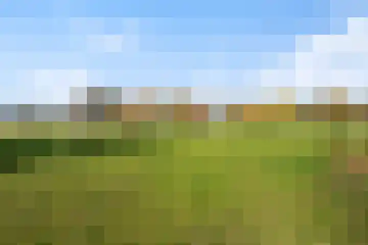 Matenweg 7 Wekerom thumbnail 36