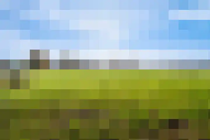Matenweg 7 Wekerom thumbnail 37
