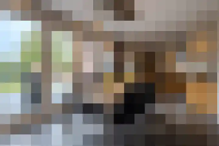 Maternusstraat 14 Diessen thumbnail 14