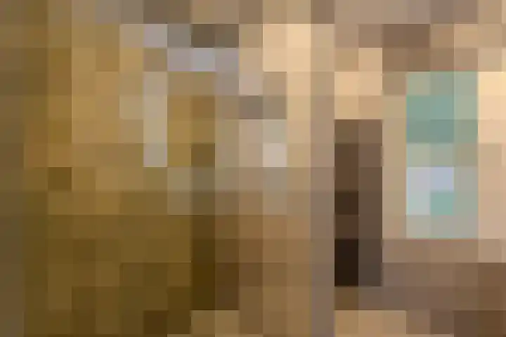 Maternusstraat 14 Diessen thumbnail 28