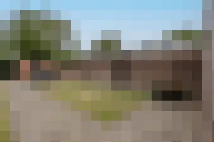 Maternusstraat 14 Diessen thumbnail 33