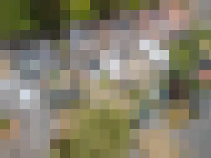 Maternusstraat 14 Diessen thumbnail 40