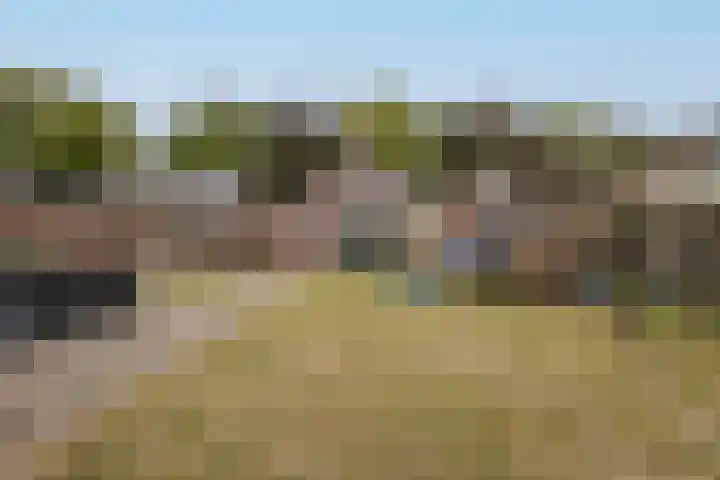 Maternusstraat 14 Diessen thumbnail 5