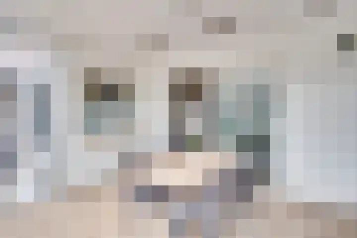 Maternusstraat 27 Diessen thumbnail 16