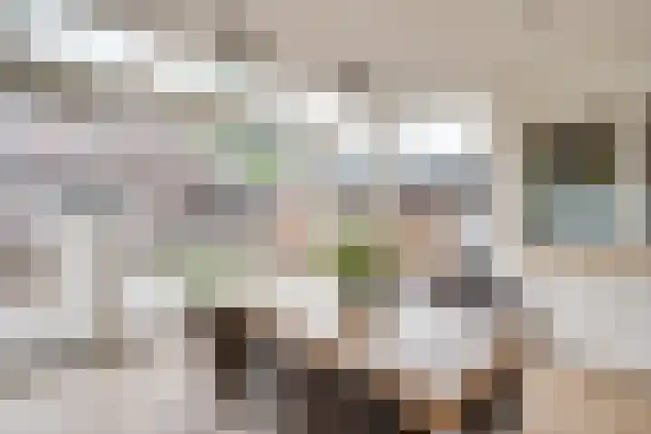 Maternusstraat 27 Diessen thumbnail 17