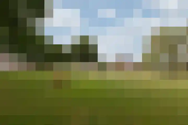 Mathaak 6 Didam thumbnail 10