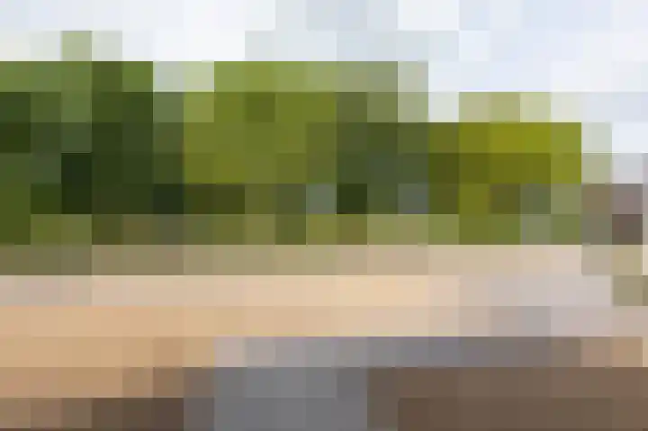 Mathaak 6 Didam thumbnail 14