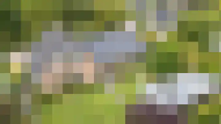 Mathaak 6 Didam foto 2