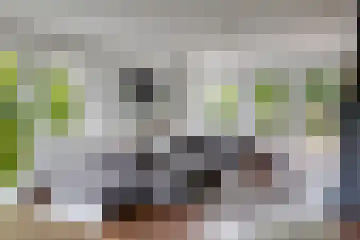 Mathaak 6 Didam thumbnail 20