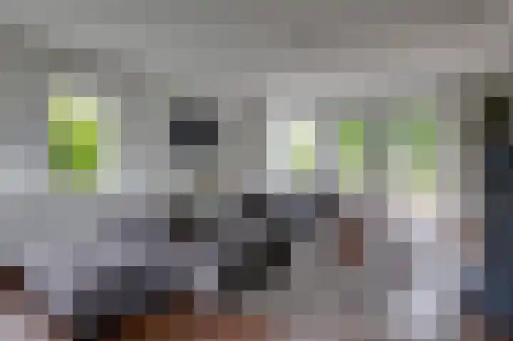 Mathaak 6 Didam thumbnail 22