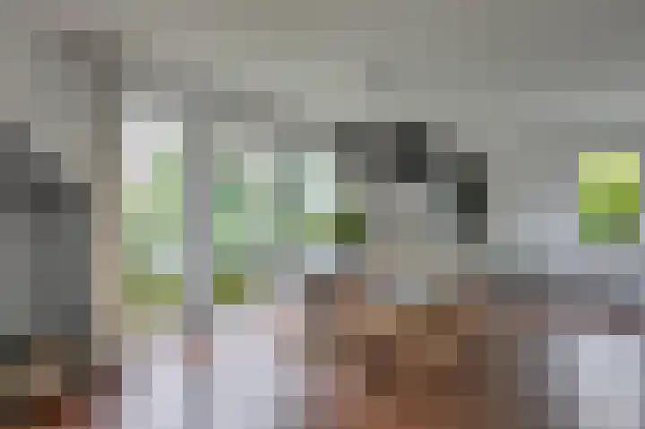 Mathaak 6 Didam thumbnail 27