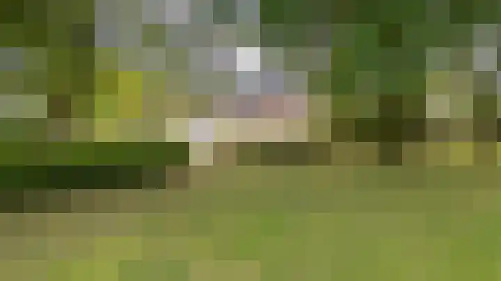 Mathaak 6 Didam thumbnail 5