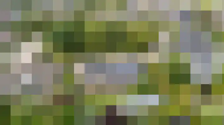 Mathaak 6 Didam thumbnail 8