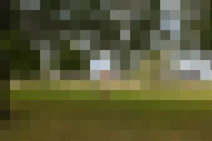 Mathaak 6 Didam thumbnail 9