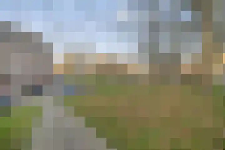 Mathenesserdijk 34 B Rotterdam thumbnail 26