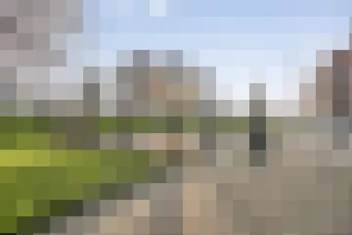 Mathenesserdijk 34 B Rotterdam thumbnail 27