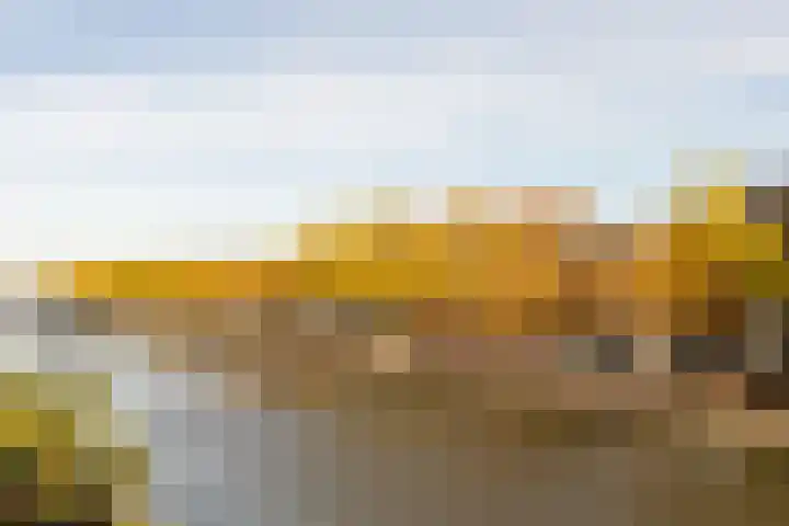 Mathenesserdijk 392 B dans Rotterdam