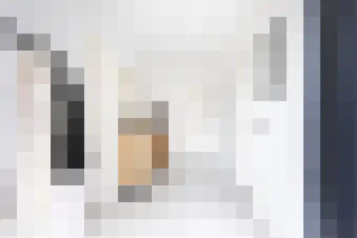 Mathildastraat 23 Oosterhout thumbnail 4