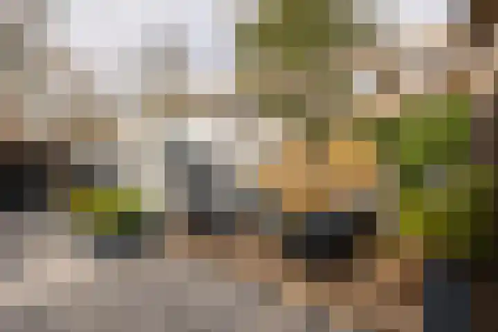 Mathildastraat 23 Oosterhout thumbnail 73