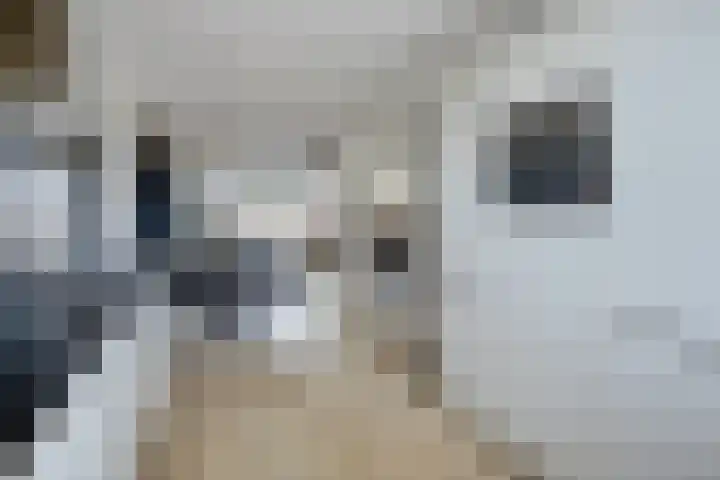 Mathilde Wibautsingel 69 Emmeloord thumbnail 10
