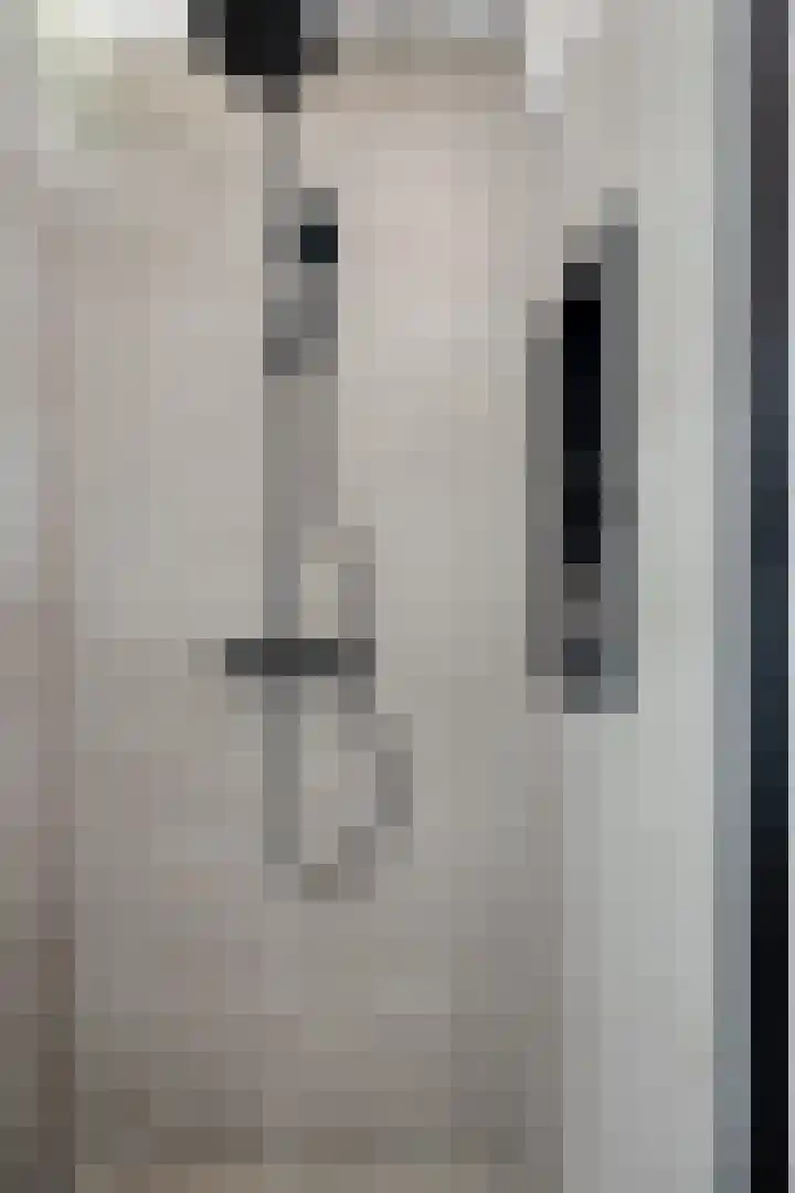 Mathilde Wibautsingel 69 Emmeloord thumbnail 18